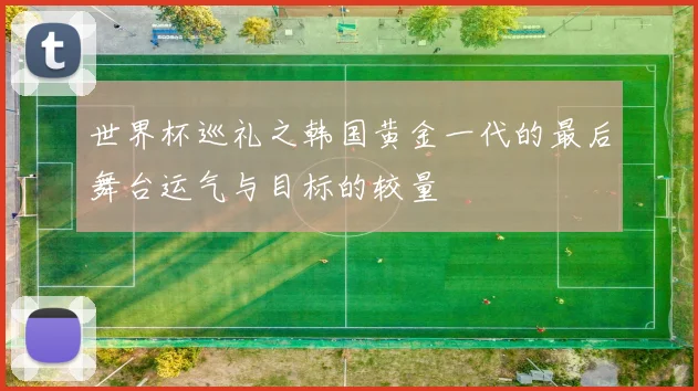 世界杯巡礼之韩国黄金一代的最后舞台运气与目标的较量
