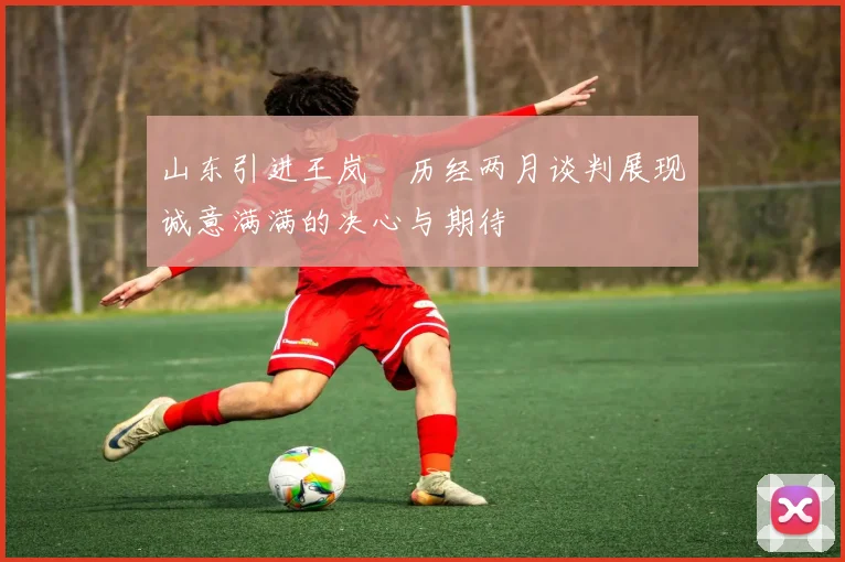 山东引进王岚嵚历经两月谈判展现诚意满满的决心与期待